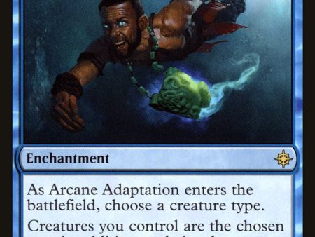 Arcane Adaptation [Ixalan] Online Hot Sale