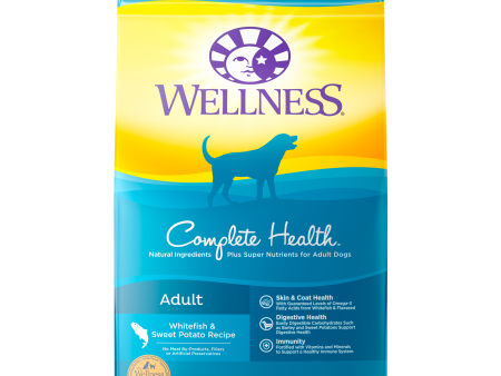 Wellness Complete Health Whitefish & Sweet Potato Dog Dry Food on Sale