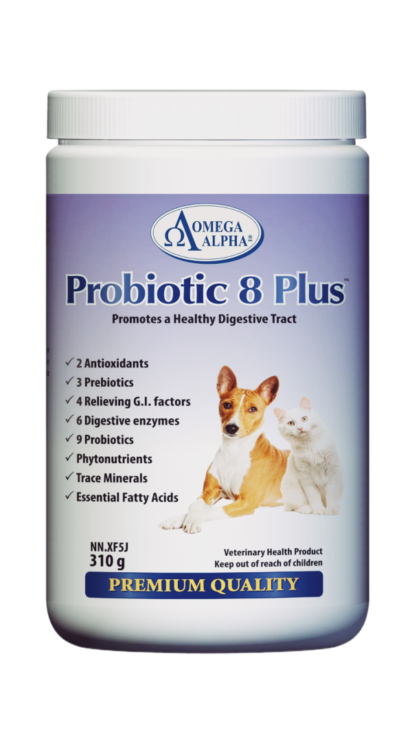 Omega Alpha Probiotic 8 Plus Discount