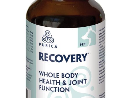 PURICA Pet Recovery - Whole Body Health for Pets (Powder) For Sale