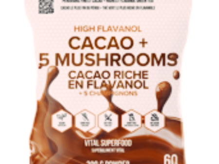 Schinoussa High Flavanol Cacao + 5 Mushrooms (300g) on Sale