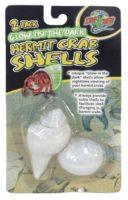 Zoomed Hermit Crab Shells Sale