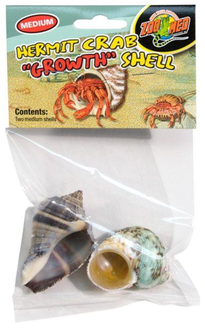 Zoomed Hermit Crab Shells Sale